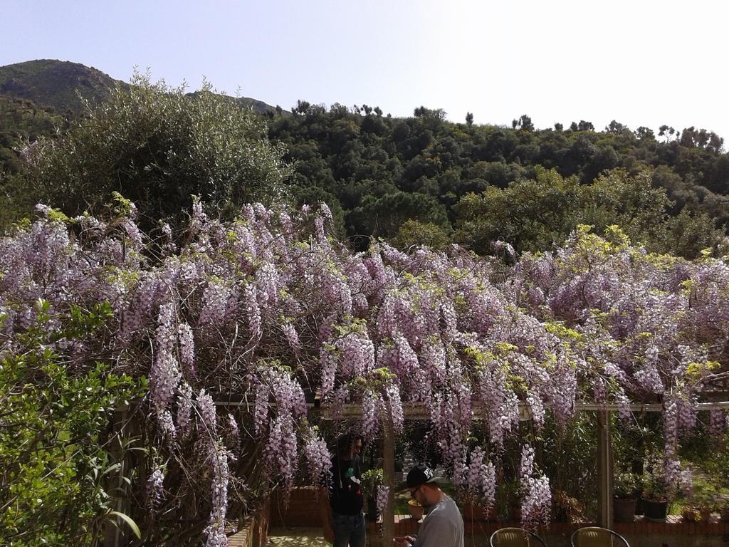 B&B La Quercia San Gregorio  Dış mekan fotoğraf