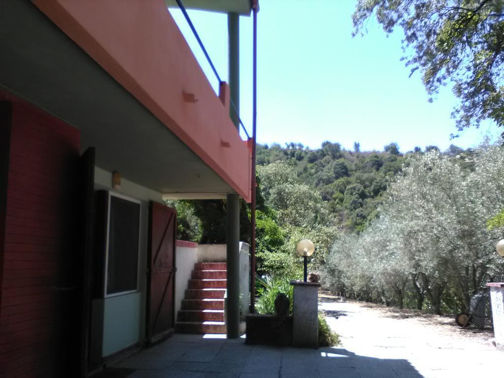 B&B La Quercia San Gregorio  Dış mekan fotoğraf