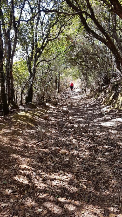 B&B La Quercia San Gregorio  Dış mekan fotoğraf